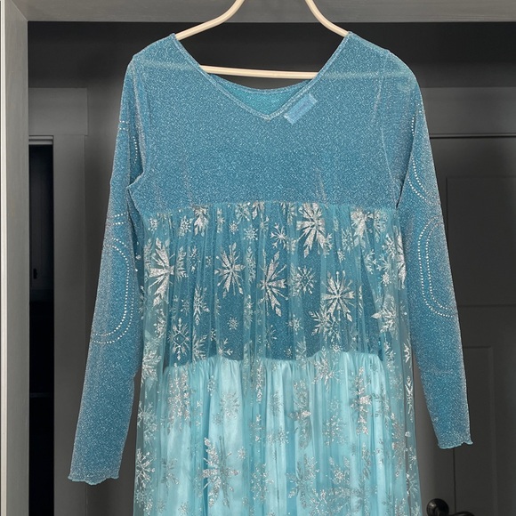 Adult Elsa Frozen Dress Costume - Picture 11 of 11